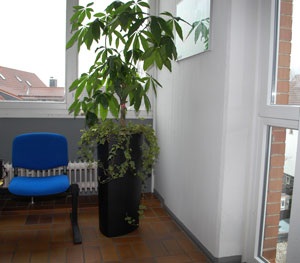 blumenkuebel_aet_kunden_07
