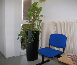 blumenkuebel_aet_kunden_08