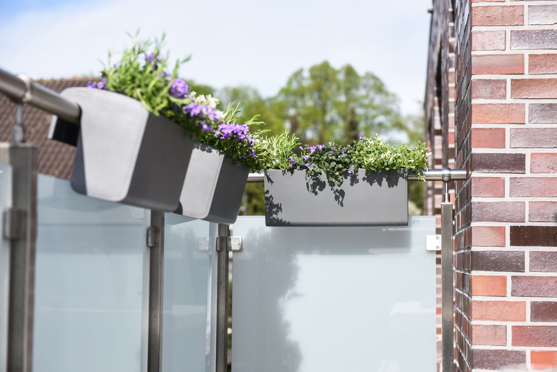 Balkonkasten anthrazit für Geländer "Balkona Classico" 50 cm mit