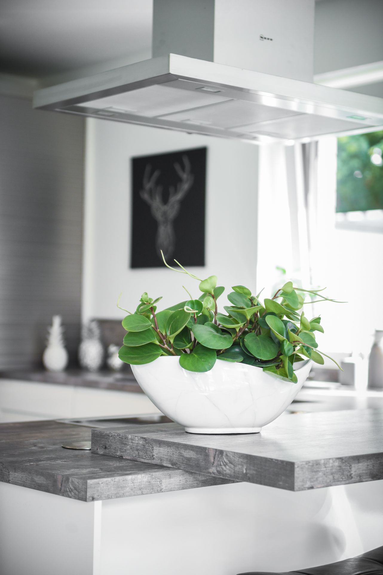 Dekoschale Schale Pflanzschale modern exklusiv "Mondana", Weiß Marmor