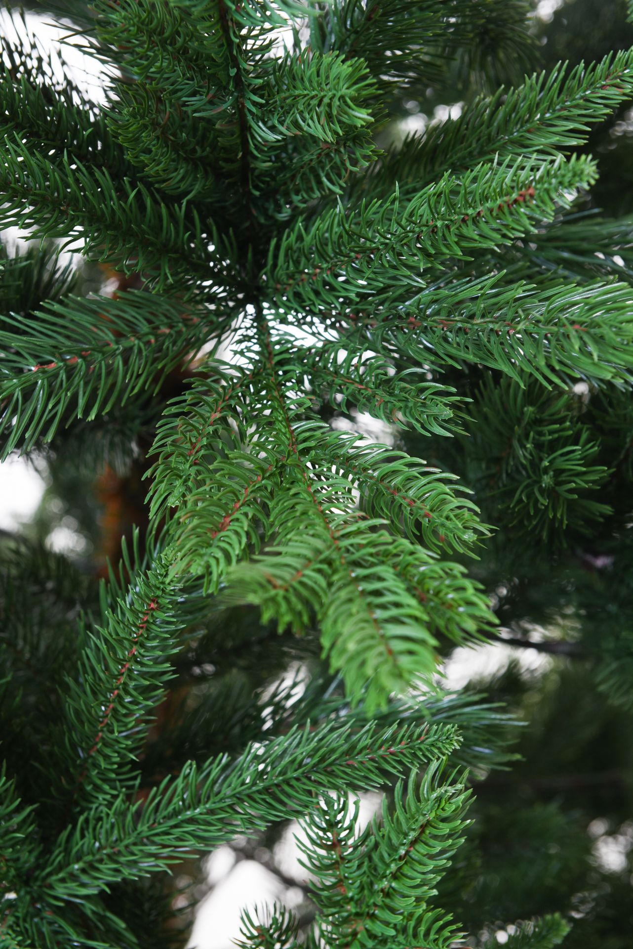 VIVANNO Künstlicher Weihnachtsbaum Tannenbaum Premium Nordmanntanne