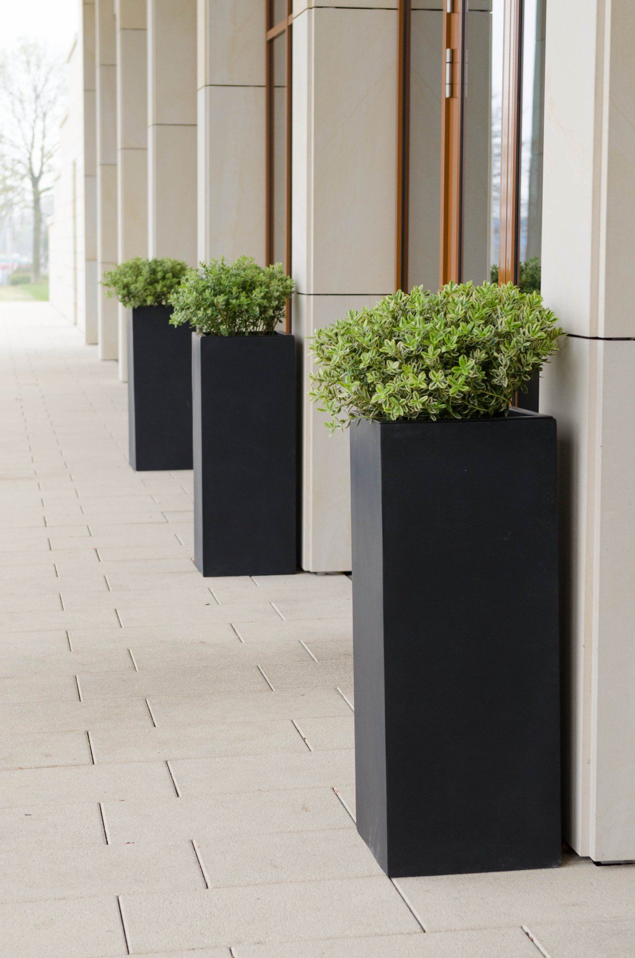 Blumenkübel Pflanzkübel Pflanzgefäße aus Fiberglas "Block "Anthrazit