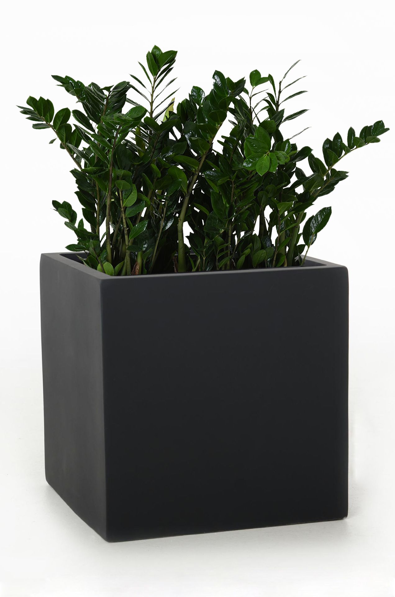 Blumenkübel Pflanzkübel Pflanzgefäße aus Fiberglas "Block" Anthrazit