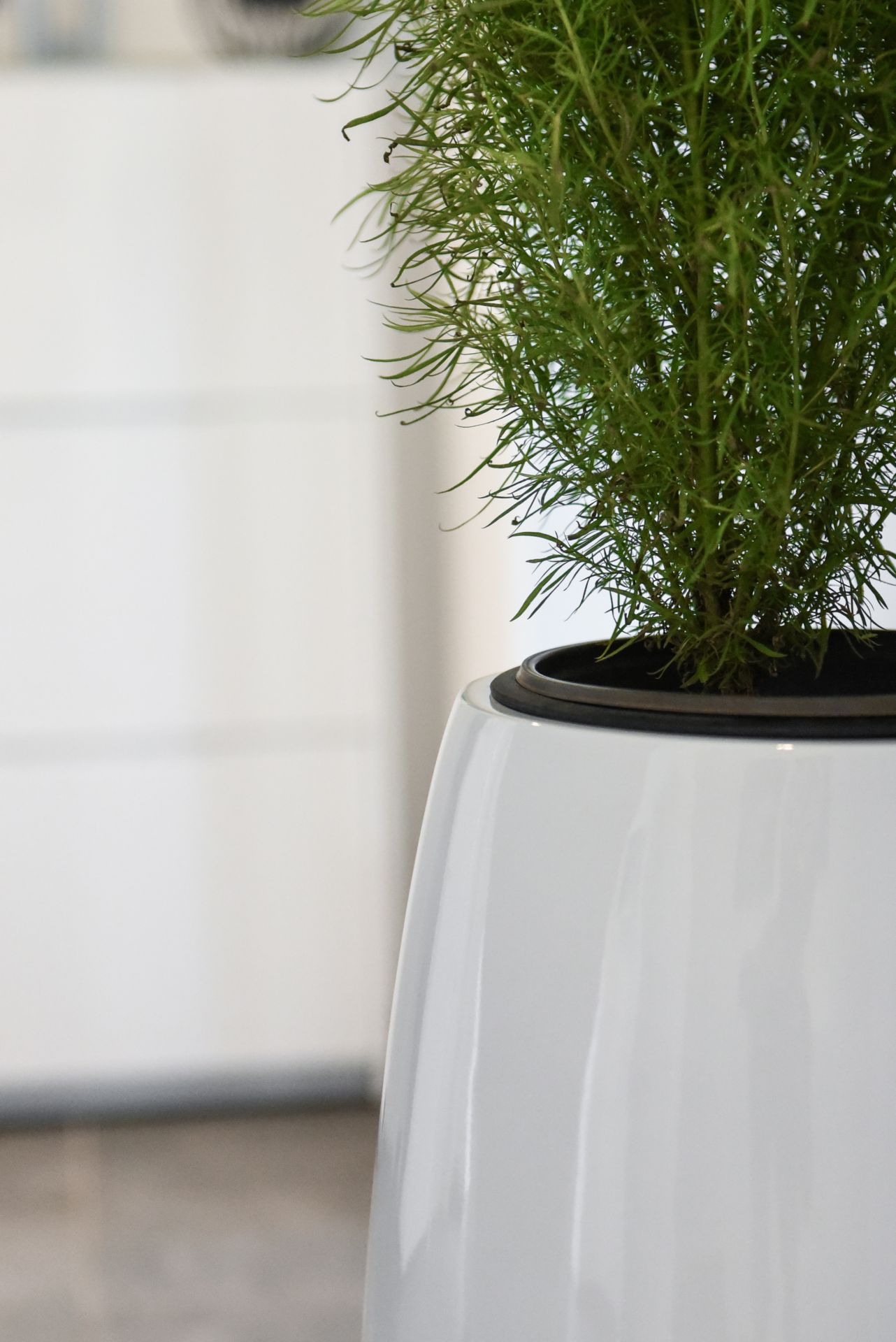 Exklusiver Pflanzkübel "Magnum" Fiberglas 80 cm, Weiß Hochglanz | eBay