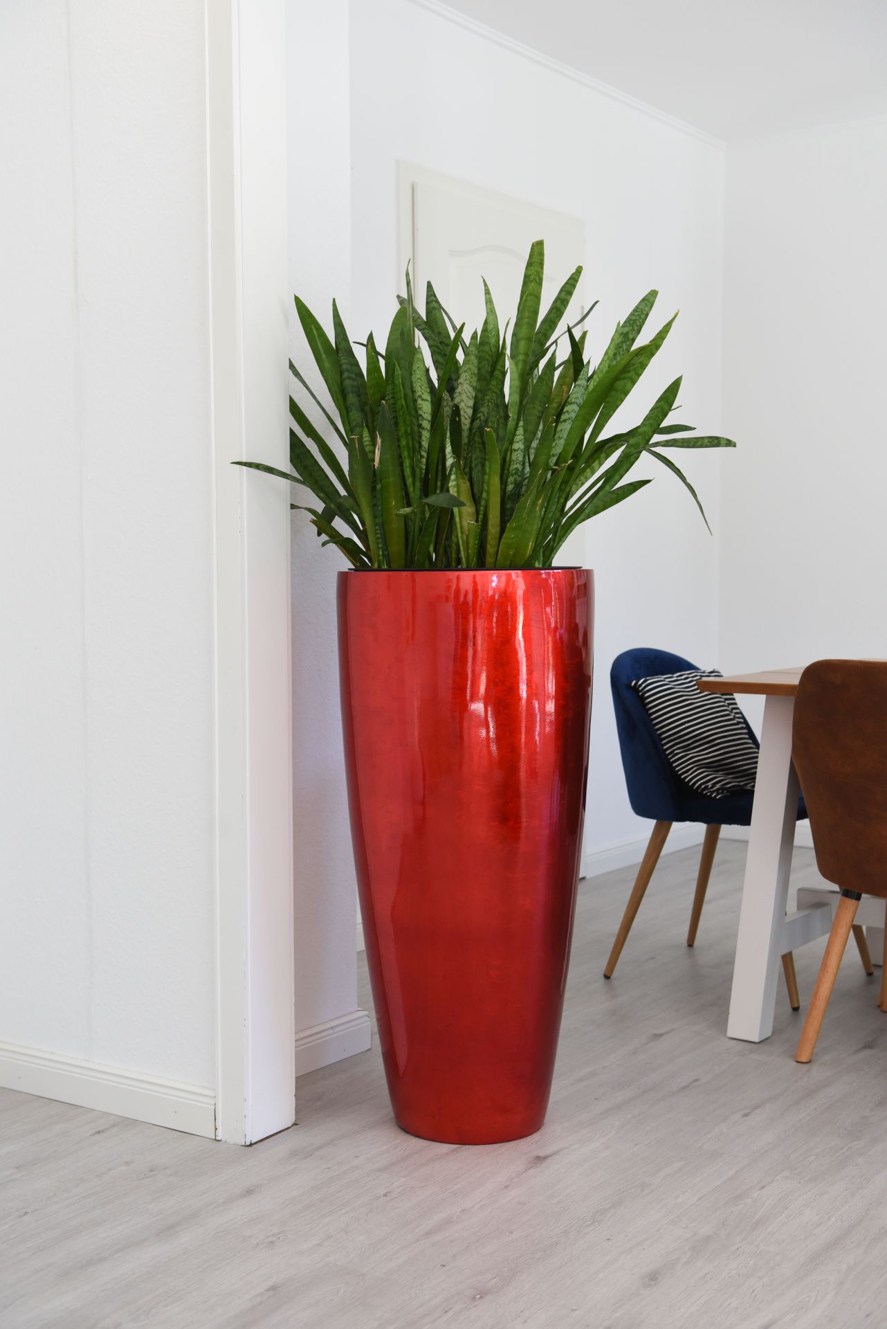 Exklusiver großer Blumenkübel Fiberglas "City" 100cm Rot Hochglanz | eBay