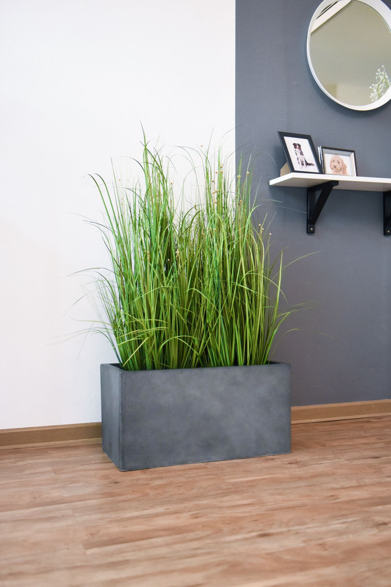 Pflanzkübel Blumenkübel "Maxi" 60 Fiberglas, Beton-Design, Anthrazit | eBay