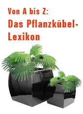 Das Pflanzkübel-Lexikon