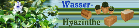 AE Trade-Shop für Produkte aus Wasserhyazinthe