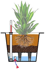 Blumenkübel-Einsatz im Querschnitt