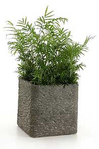 Pflanzkübel Stone aus Fiberglas mit Schieferstein