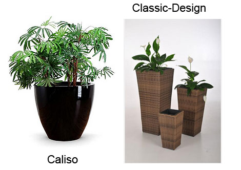 Pflanzkübel CALISO und Classic-Design