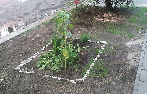 Guerilla Gardening