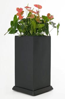 Roll-Untersetzer mit Blumenkübel