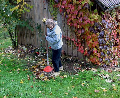 Gartenarbeit im Herbstgarten