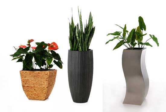 Blumenkübel ASIA, ARTOS und WAVE aus Wasserhyazinthe, Fiberglas und Edelstahl