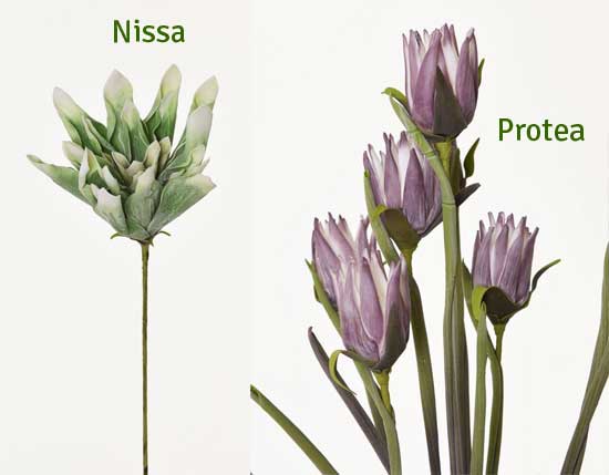 Kunstblumen Nissa und Protea