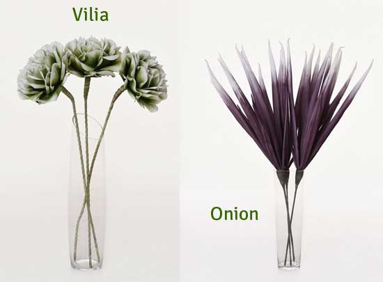 Vilia, Onion im 3er-Set