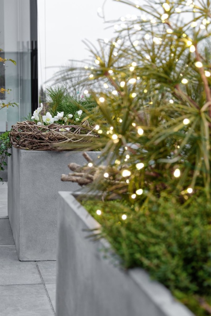 Pflanzkübel mit Lichterkette auf Terrasse