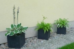 wossack4_pflanzkuebel