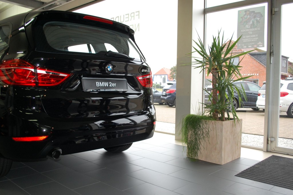 Pflanzkübel Block beige im Eingang vom Autohaus